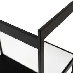 Fenton Mirrored Bar Cart - Black